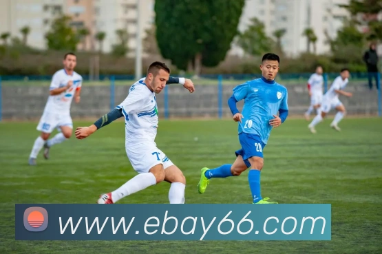 数据分析功能